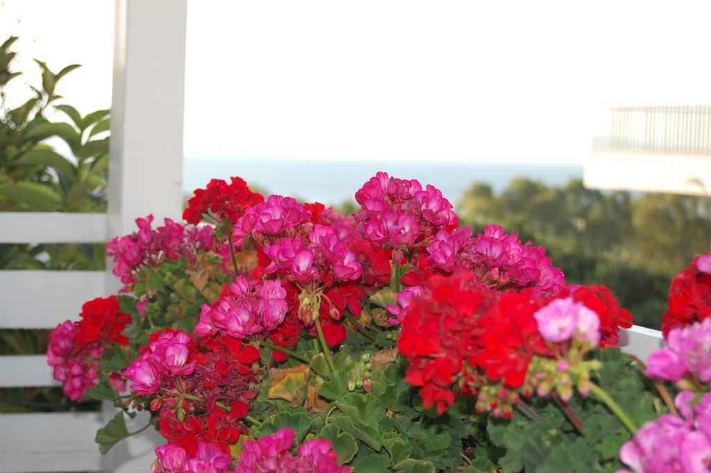 B&B H224 Reggio de Calabre Extérieur photo